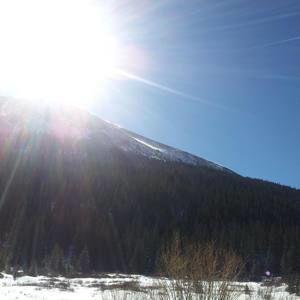 Meet your Posher, Gay